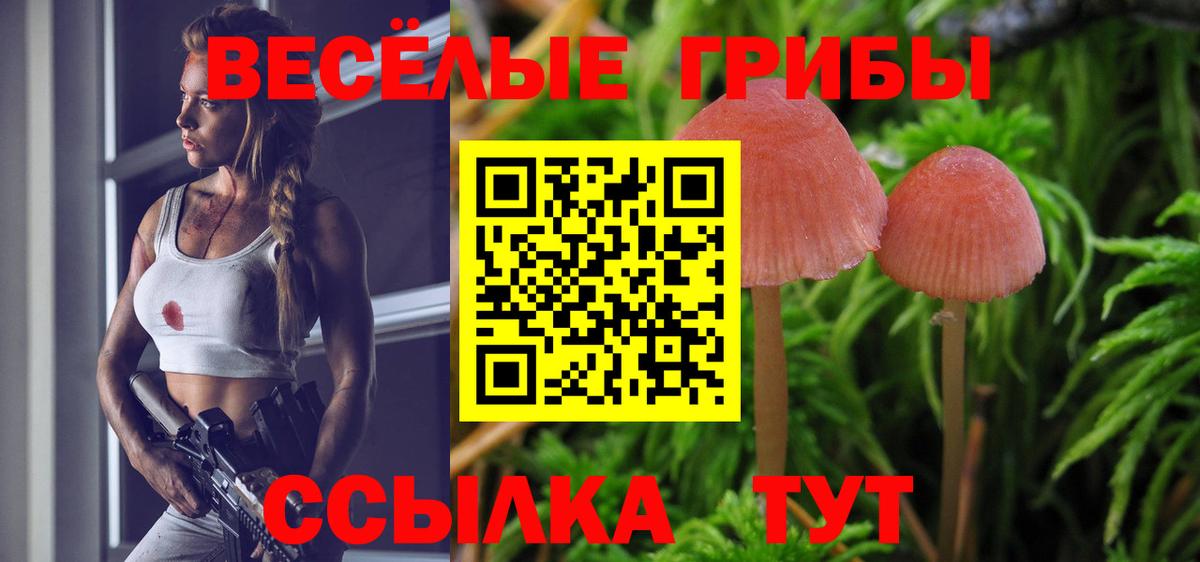 продажа наркотиков  Галлюциногенные грибы MAGIC MUSHROOMS  Вход с VPN  Ялуторовск 